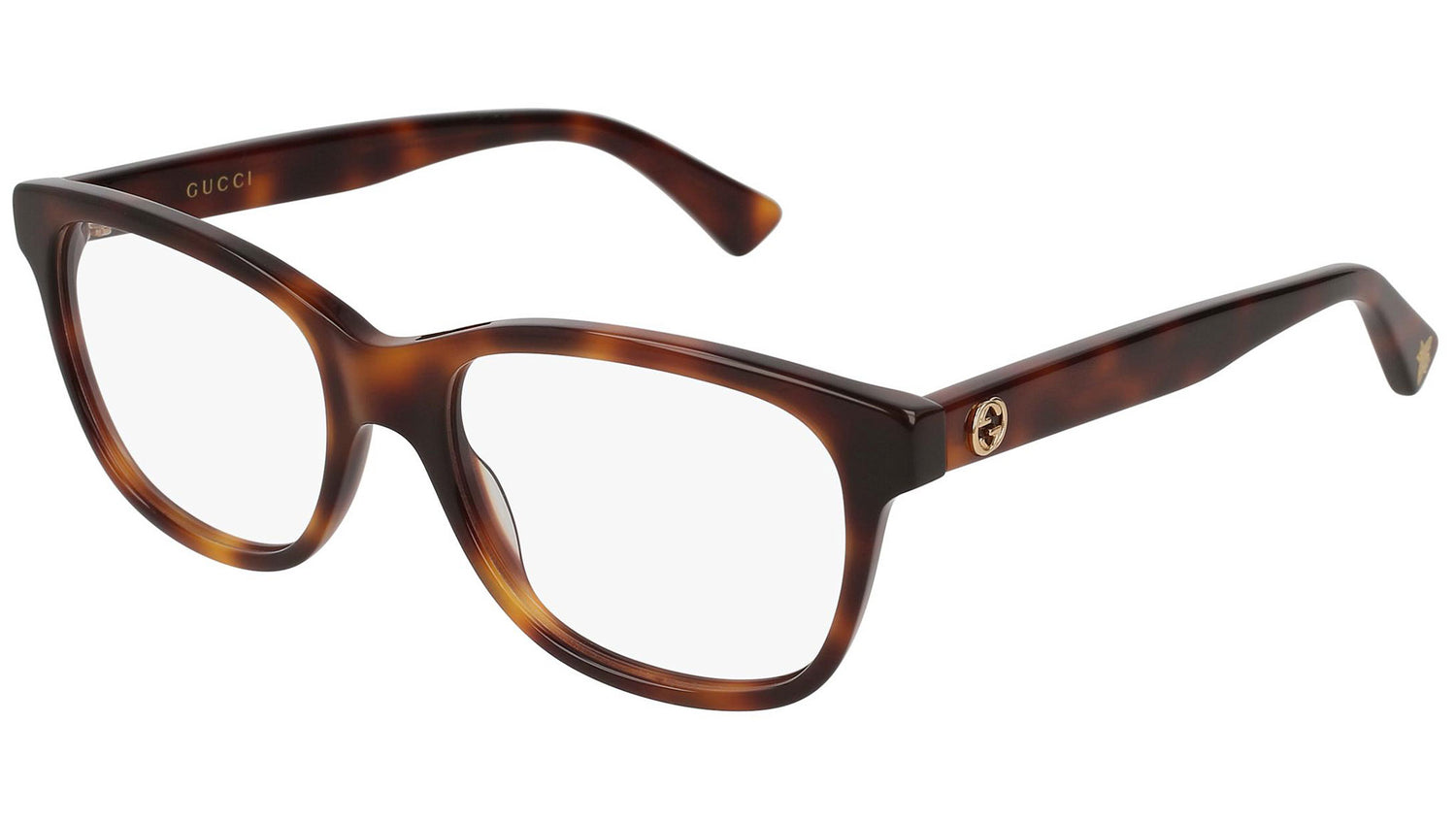 GG0166O 004 shiny tortoise