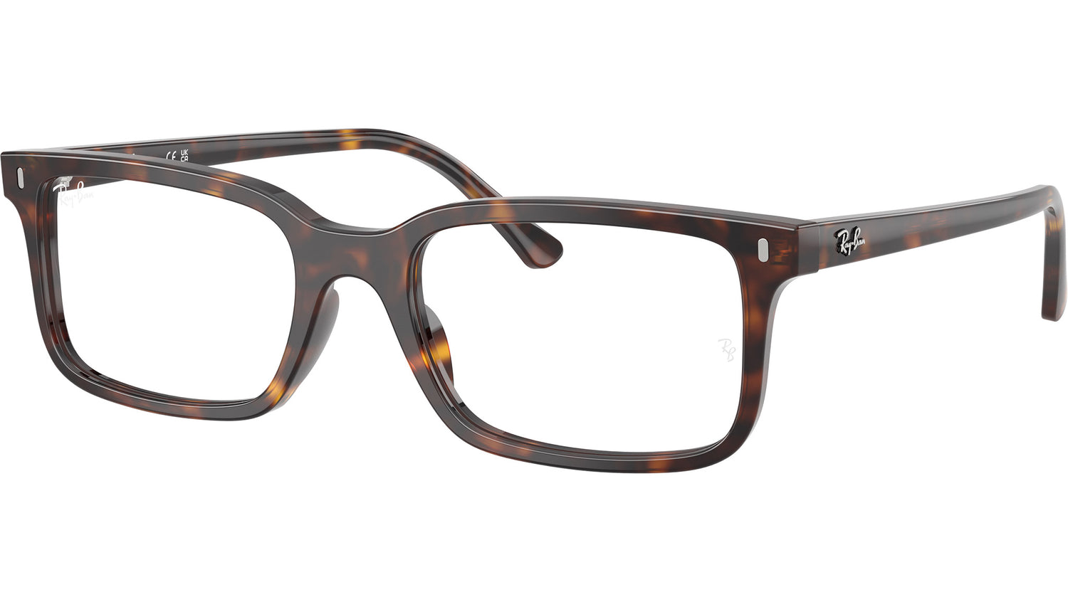 RB5445 Optics 2012