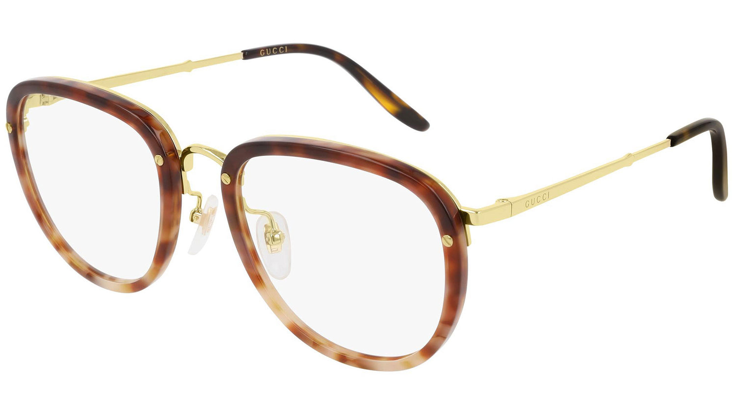 GG0675O 003 brown tortoise