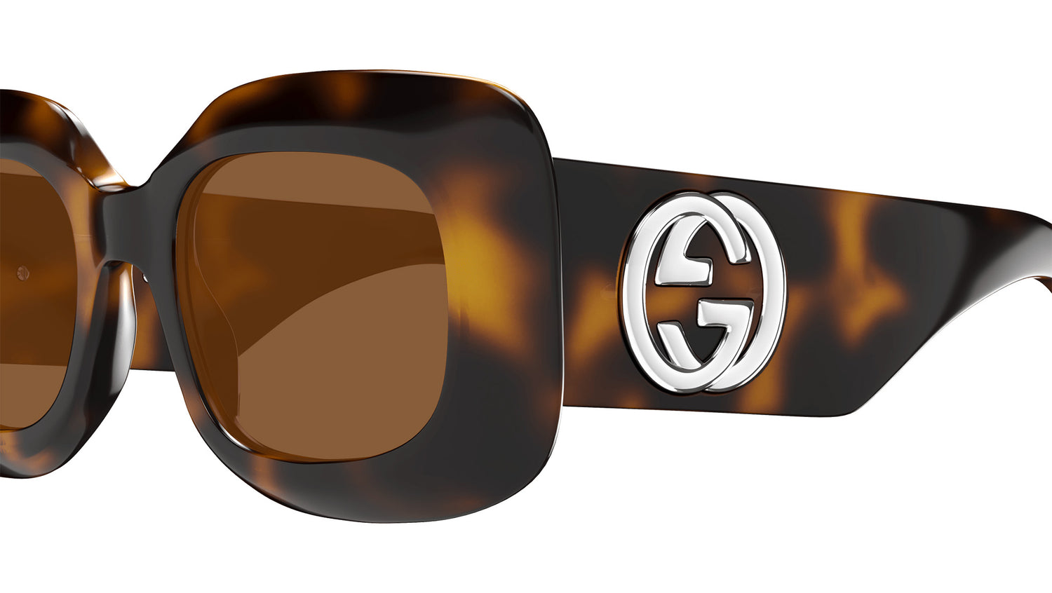 GG1695S 002