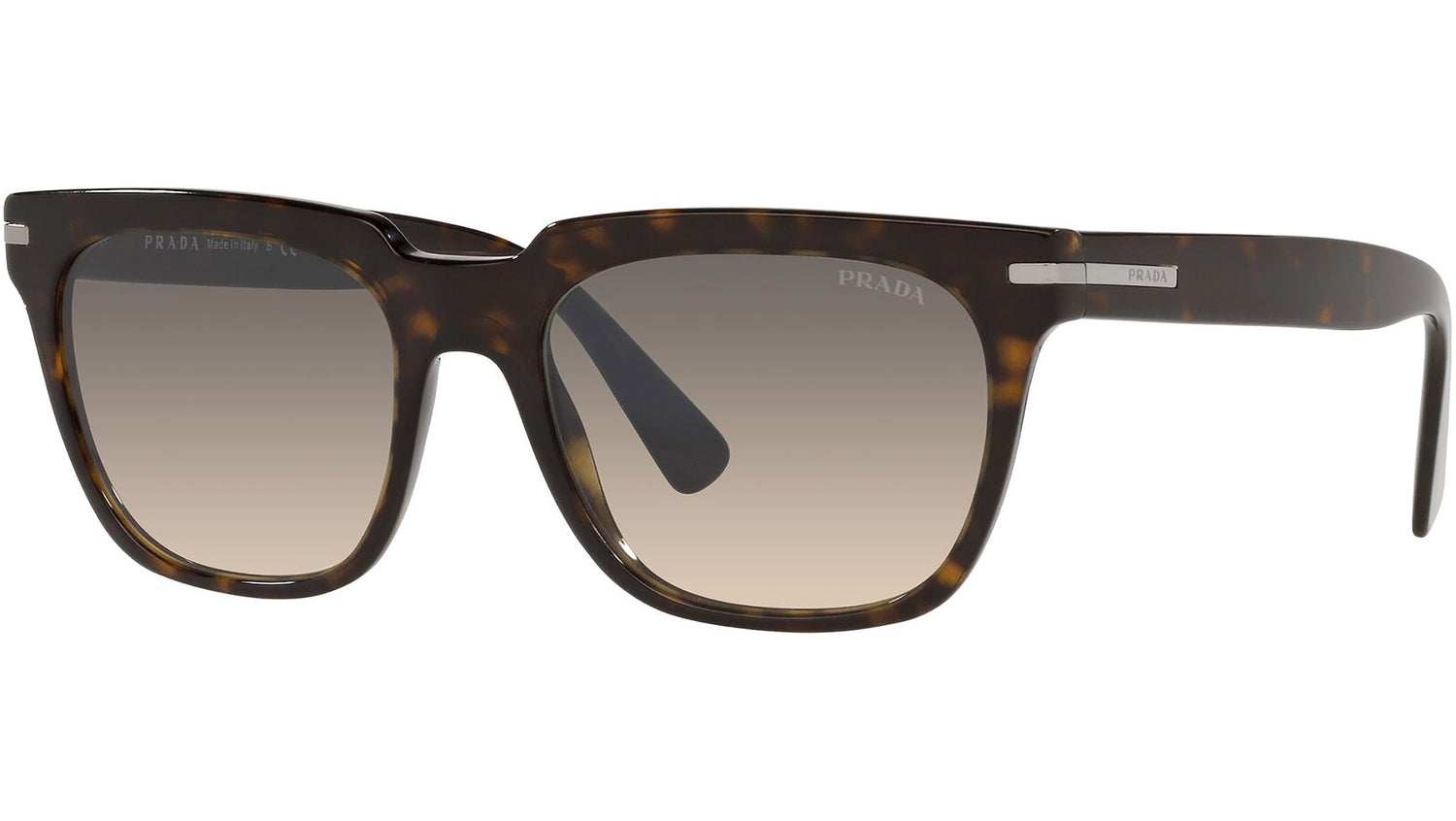 PR 04YS tortoise
