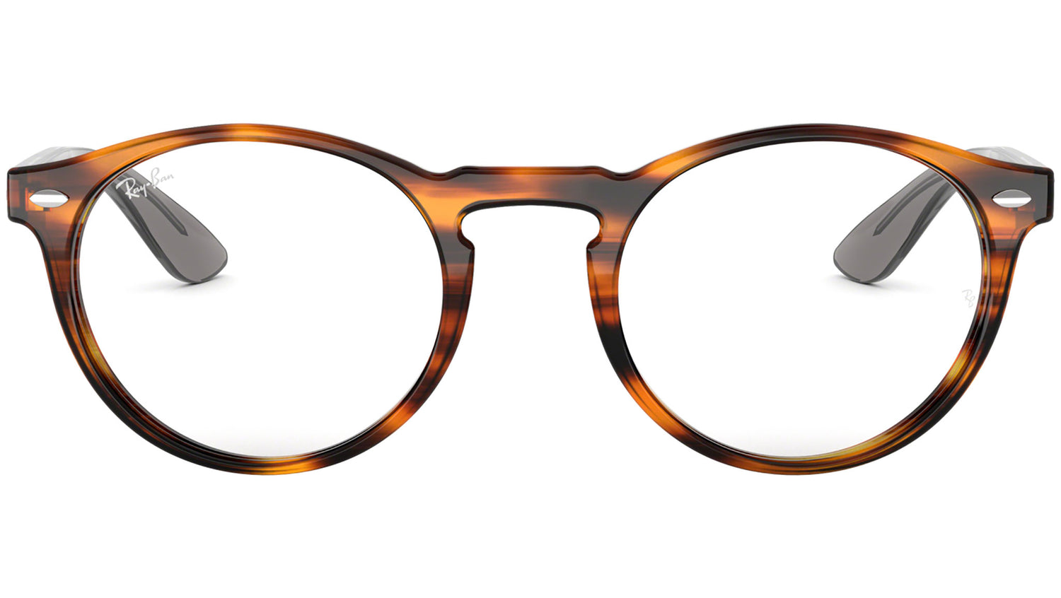 RB5283 tortoise