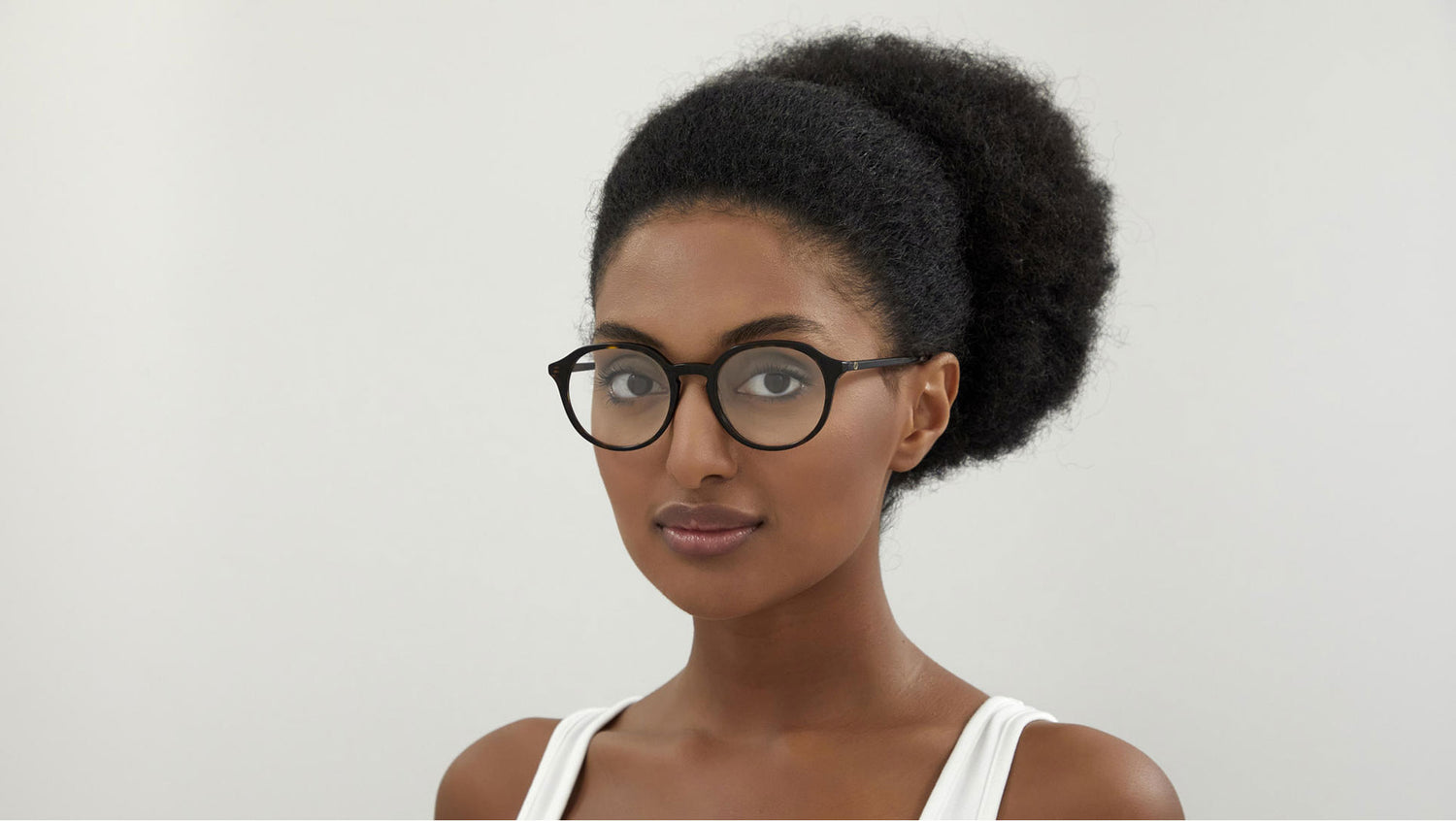 GG1004O 002 shiny tortoise