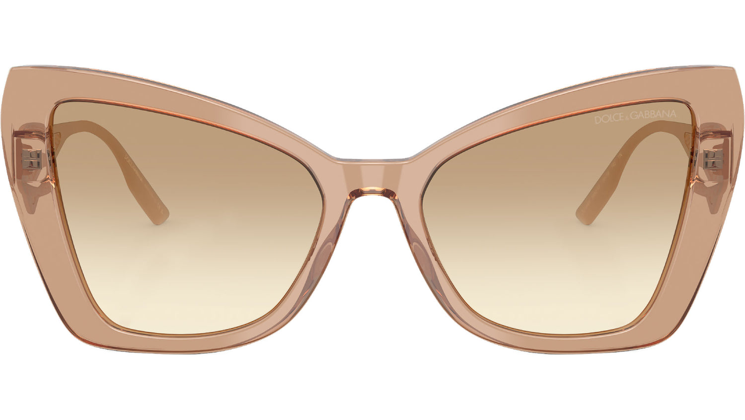 DG 4489 343213 Camel