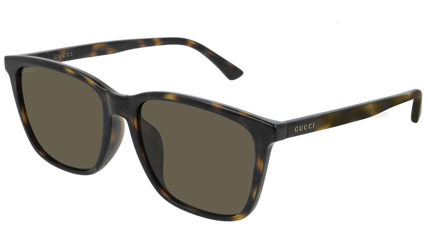 GG0404SA dark tortoise and green