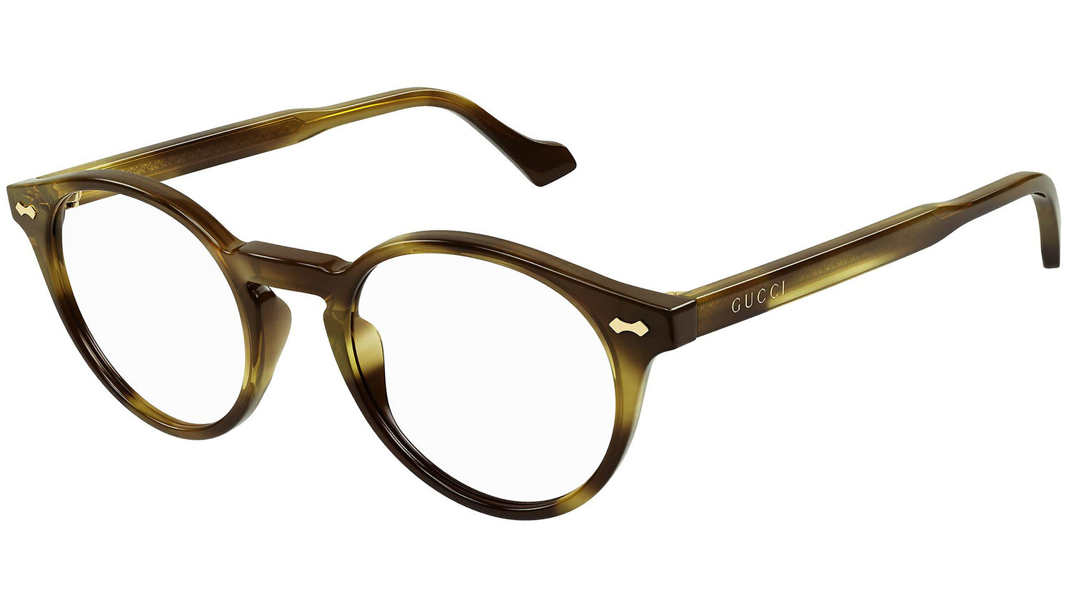 GG0738O 005 brown tortoise