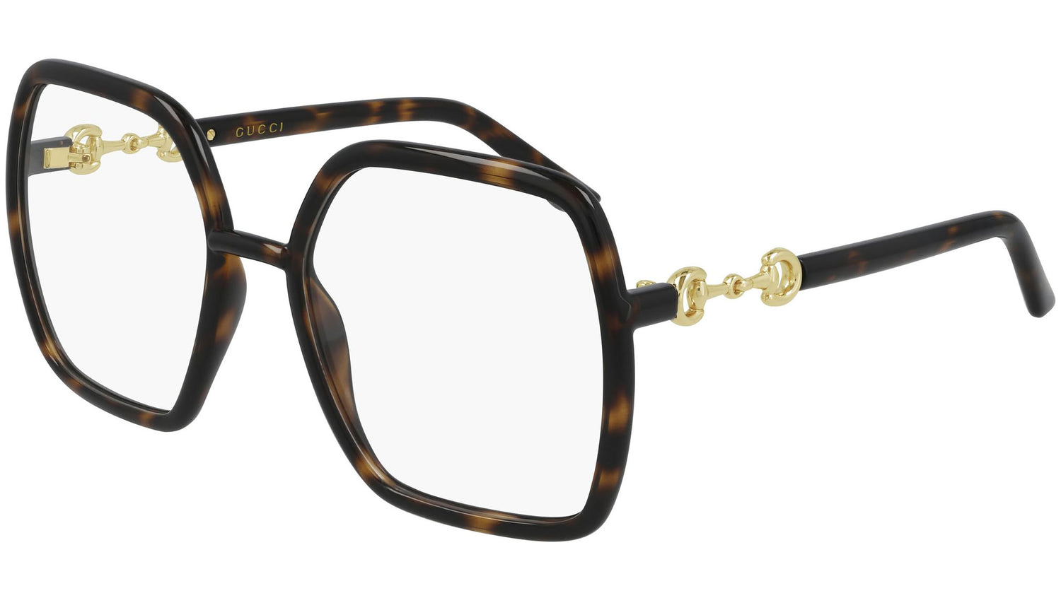 GG0890O 002 shiny tortoise