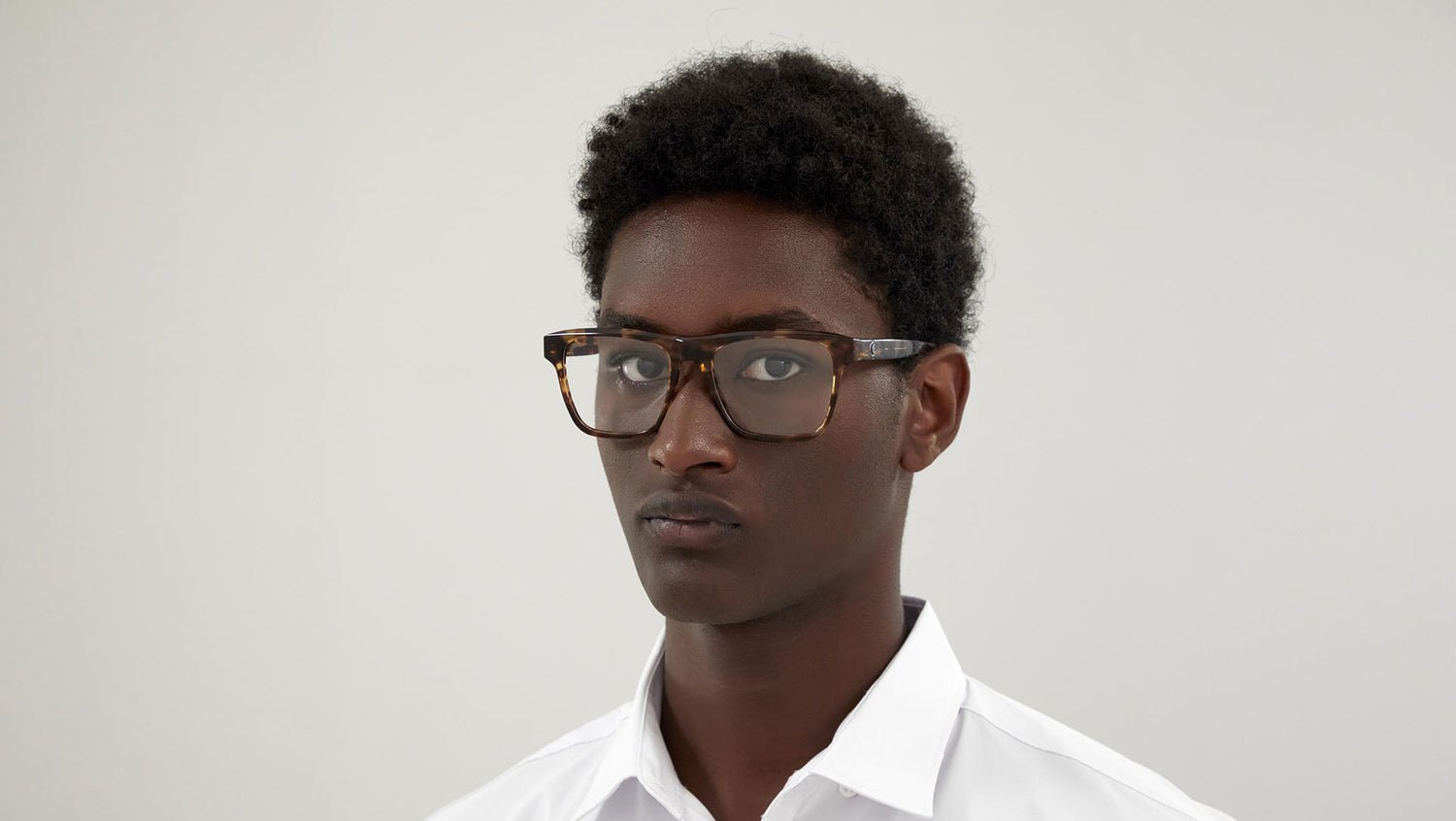 MB0203O 003 brown havana