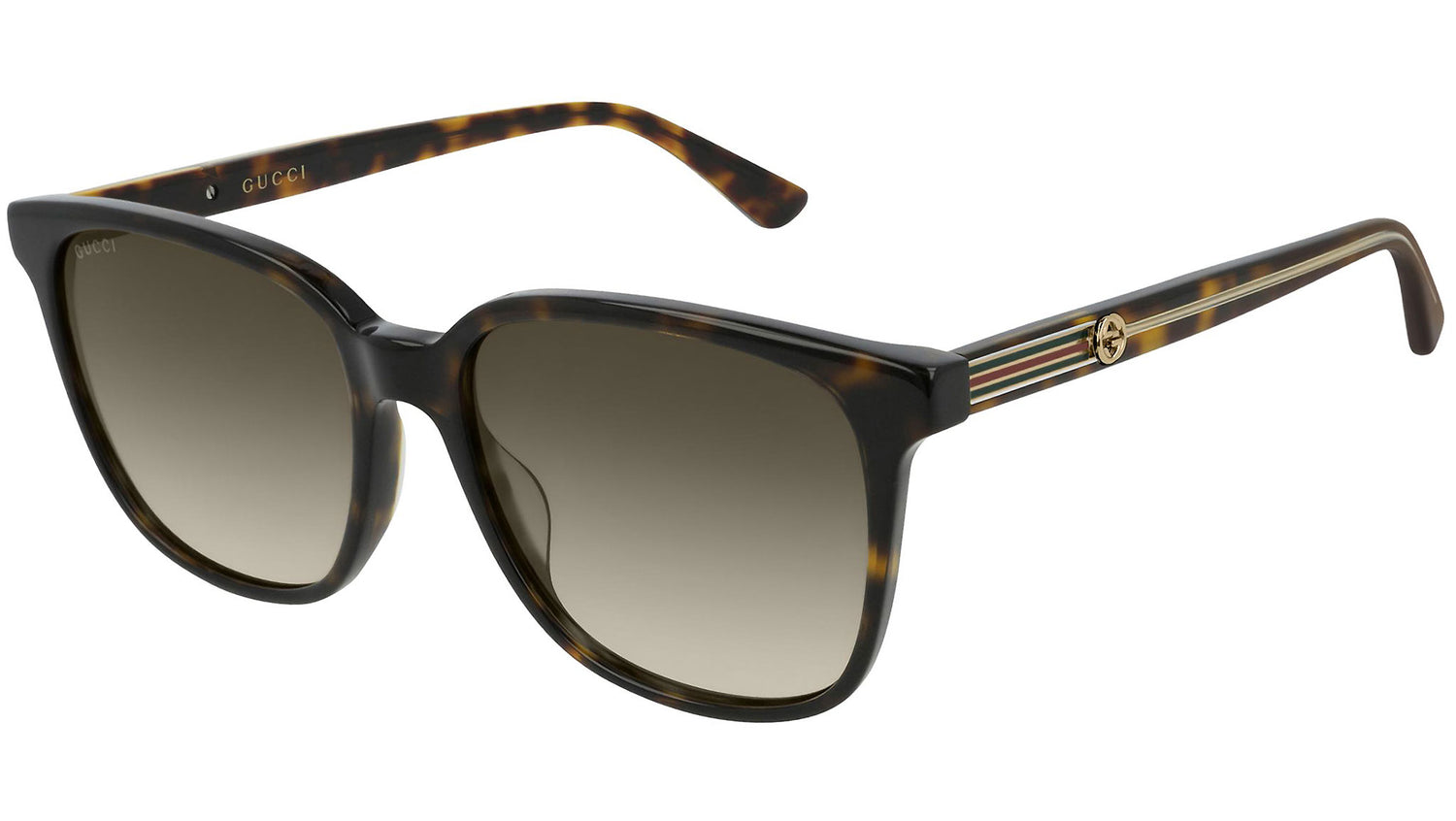 GG0376SN 002 dark tortoise