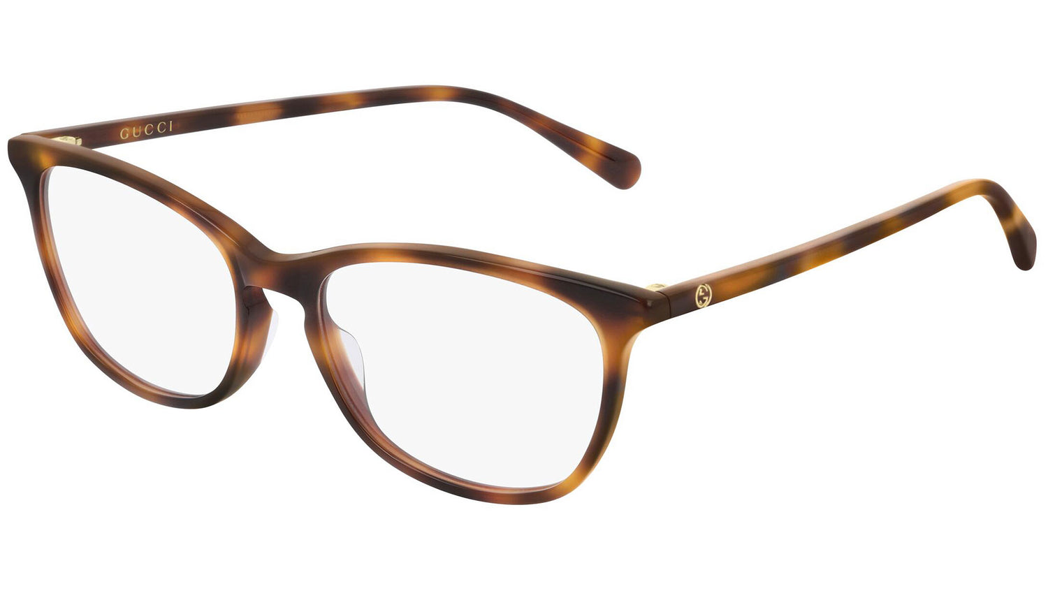 GG0549O 007 shiny tortoise