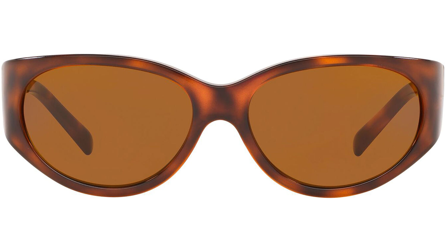 VE4386 511973 tortoise