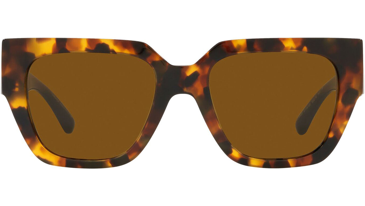 VE4409 511963 tortoise