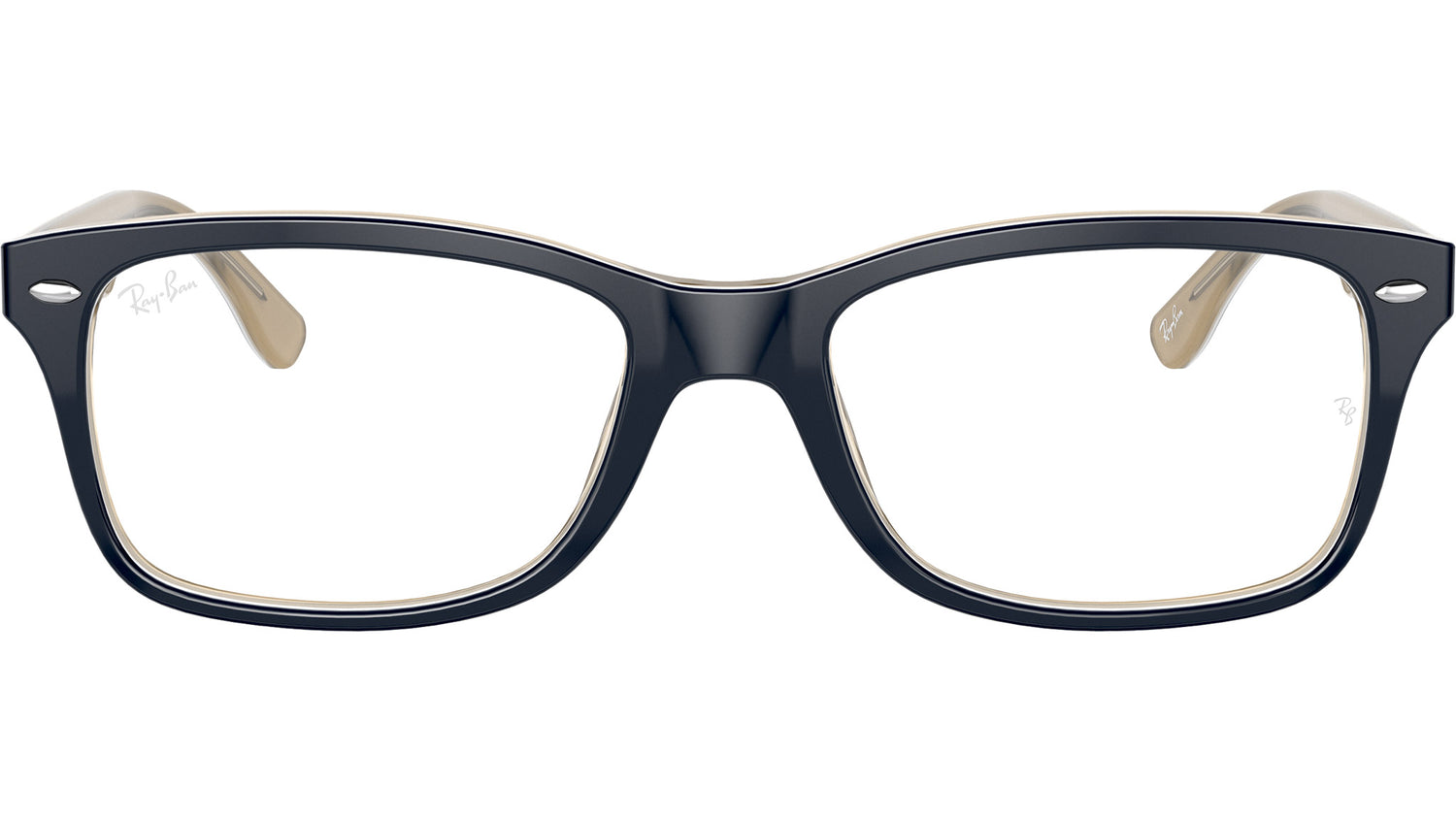 RB5228 Optics 8119